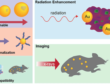 Gold nanoparticles are able to cross the protective membranes around cells