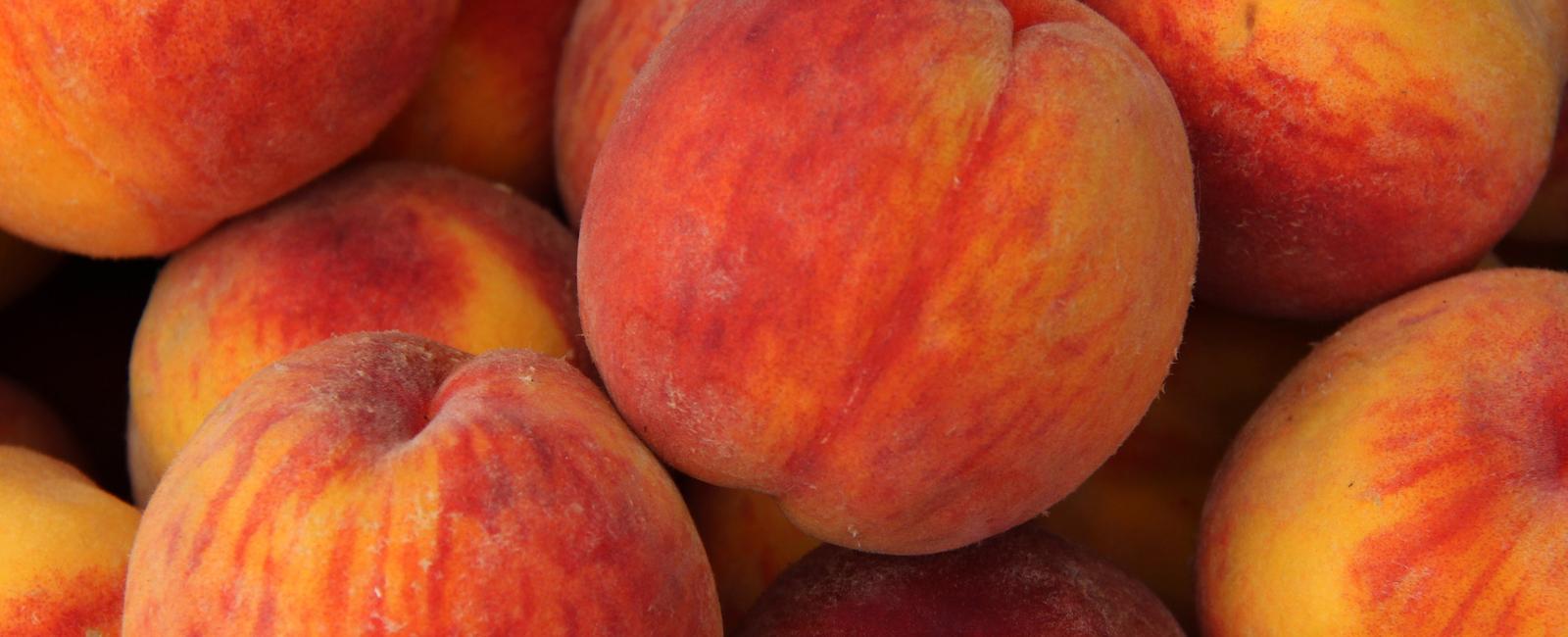 It is edible a color and is best in summer peach