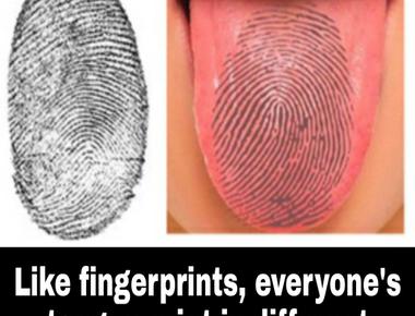 Tongue prints are as unique as fingerprints