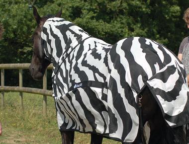 If you paint a cow with stripes like a zebra flies will stop bothering it the stripes act as a motion camouflage that confuses the pesky insects