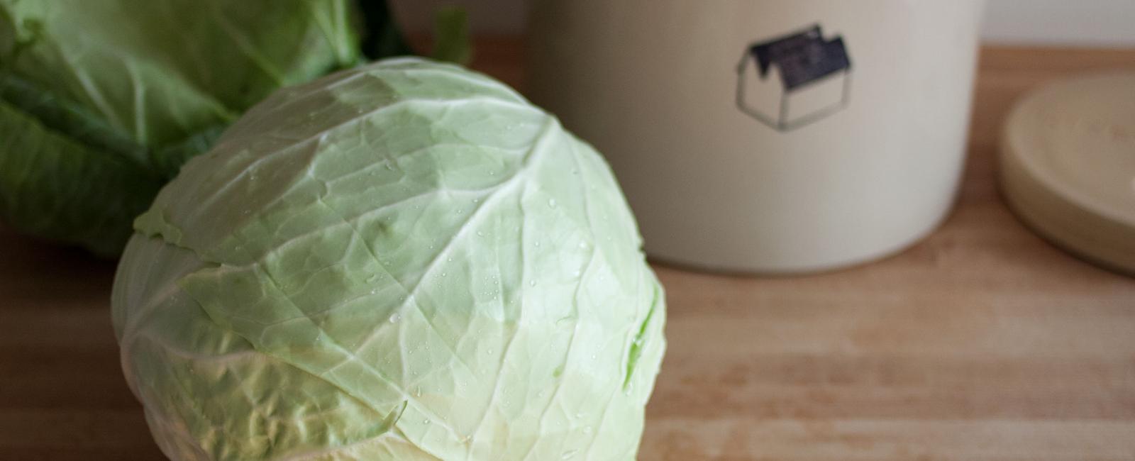 Sauerkraut owes its existence to this head cabbage