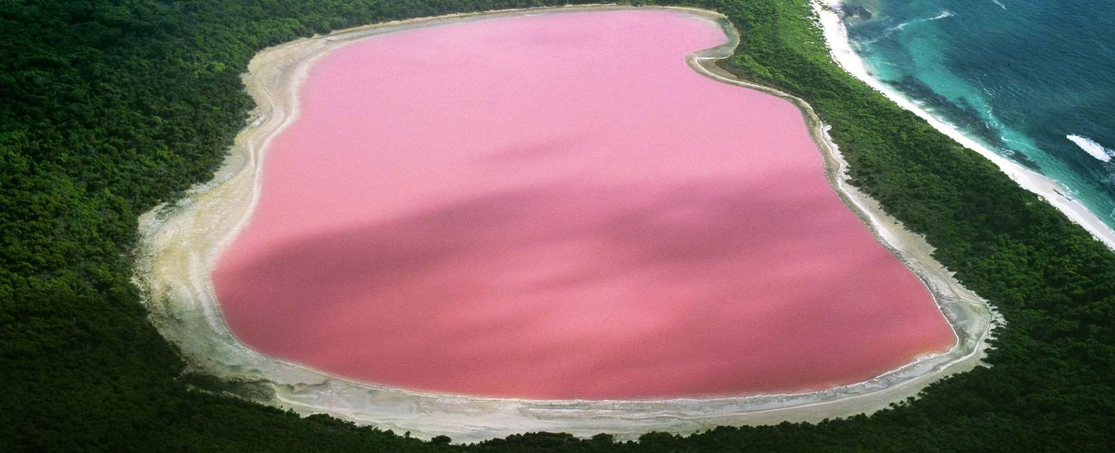 Australia has pink and purple lakes