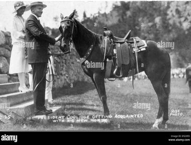 President coolidge had installed a mechanical horse saddle in the white house so he could exercise