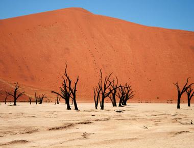 Some deserts are so hot that when it rains the water evaporates in the air before ever hitting the ground