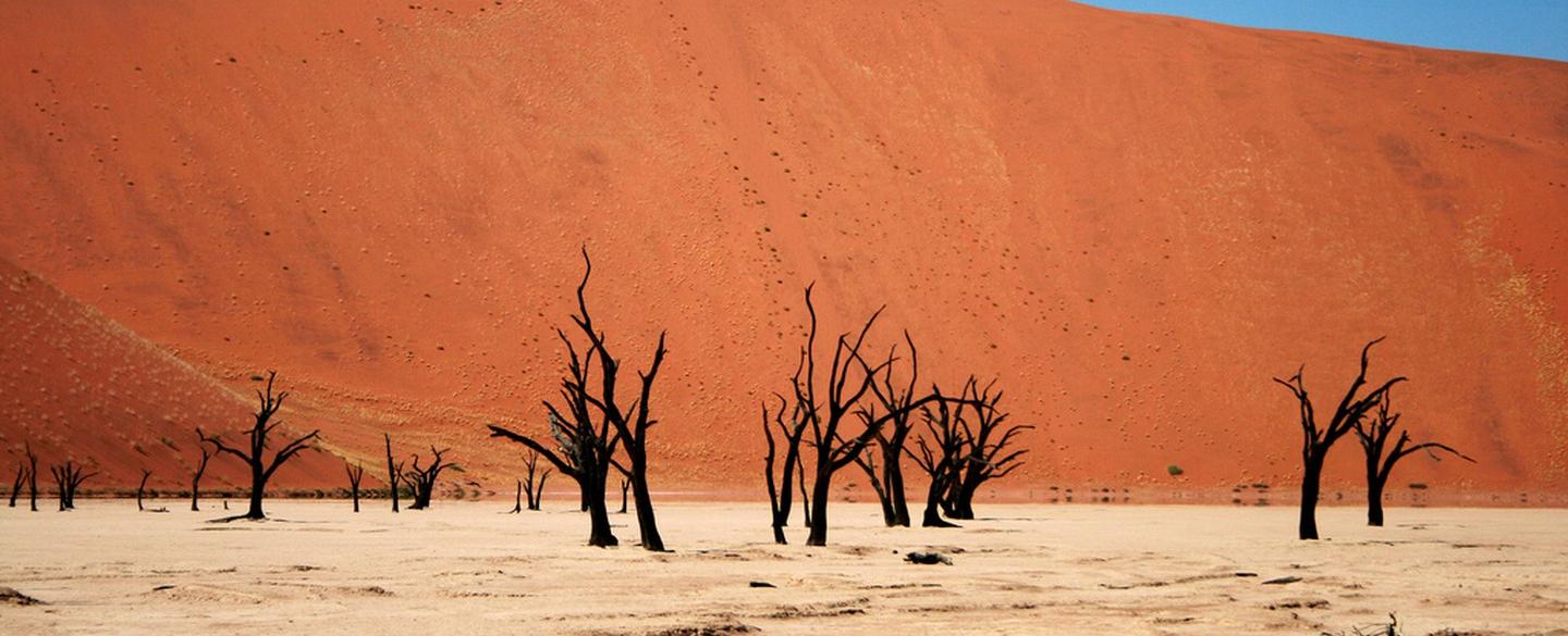 Some deserts are so hot that when it rains the water evaporates in the air before ever hitting the ground