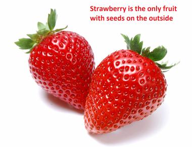 There is only one kind of fruit that has its seeds on the outside name it strawberry