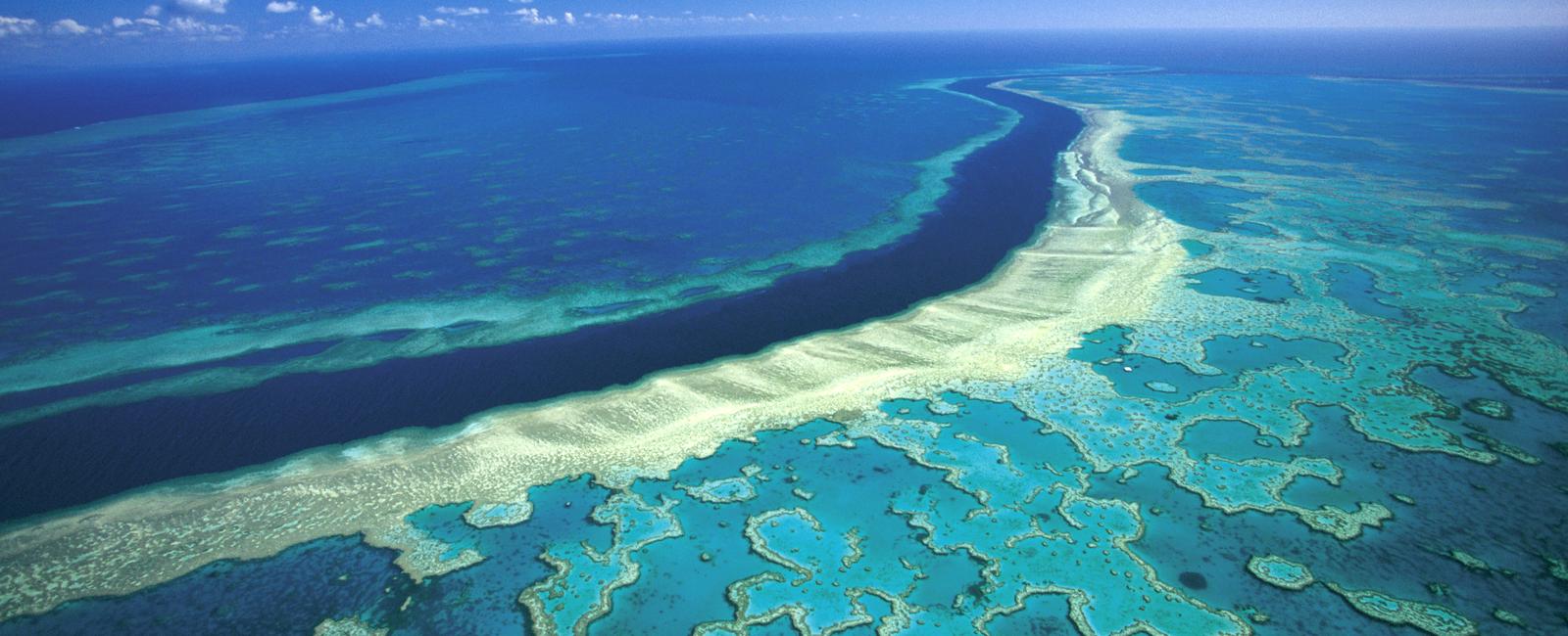 The great barrier reef in australia is the world s largest reef system