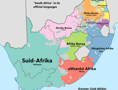 South africa has the most official languages with 11