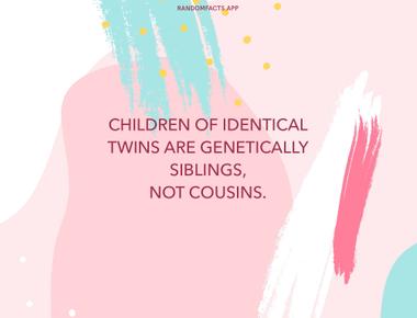 Children of identical twins are genetically siblings not cousins