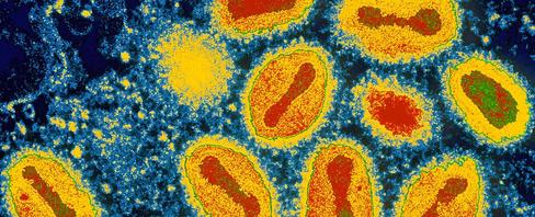 In 5 000 years of human history only one disease has been eradicated ...