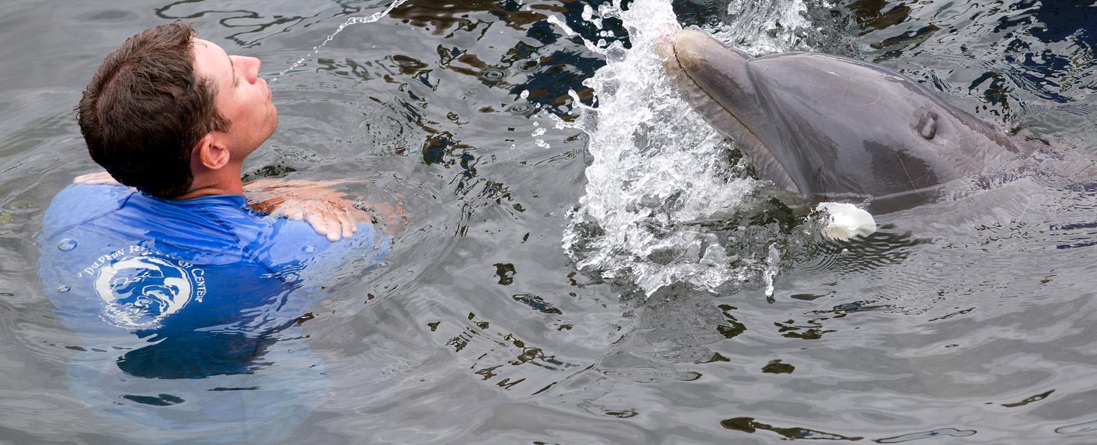 Bottlenose dolphins are even more right handed than humans