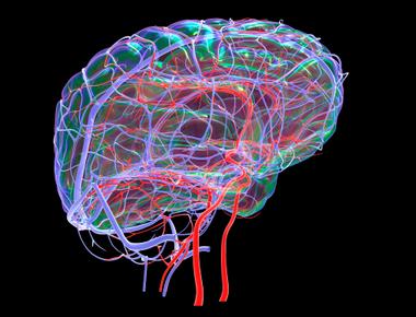 Brain freeze remains a mystery to scientists research links the cold induced headache to increased blood flow in the front brain arteries after eating or drinking something cold