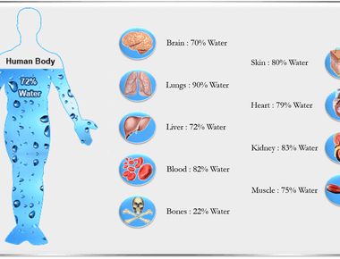 The human body is comprised of 80 water