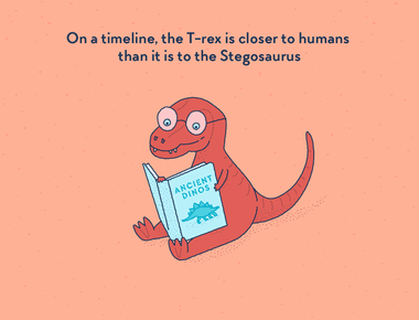 The t rex is closer in time to us than it was to the stegosaurus