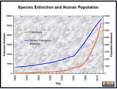 Human activity in the last 500 years has brought extinction upon more than 800 species