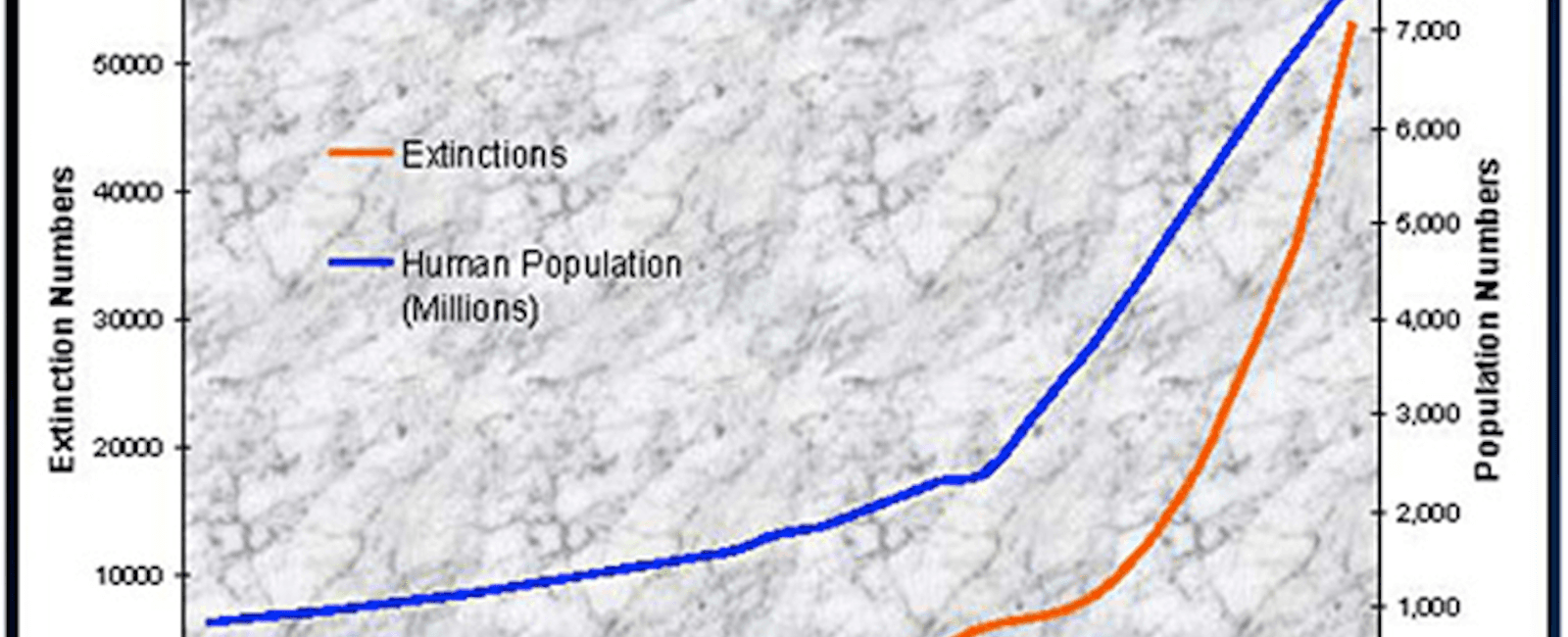 Human activity in the last 500 years has brought extinction upon more than 800 species