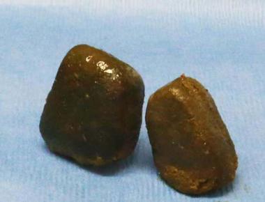 Wombat poop is cube shaped