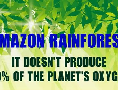 The amazon rainforest produces more than 20 of the earth s oxygen