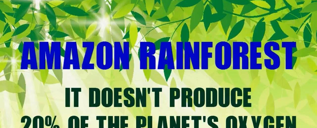 The amazon rainforest produces more than 20 of the earth s oxygen