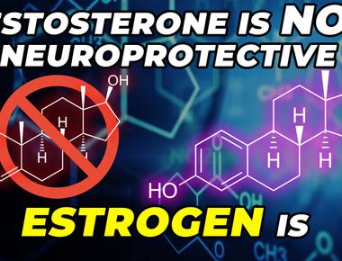 Testosterone is not confined only to men it has also been shown to play a major role in the sex drive of women