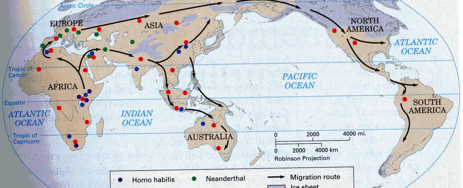 The weather doesn t just influence the migration patterns of animals but humans too people migrate to better pastures because of the greater intensity and frequency of climate and weather events like crop failure rising sea levels and water shortages