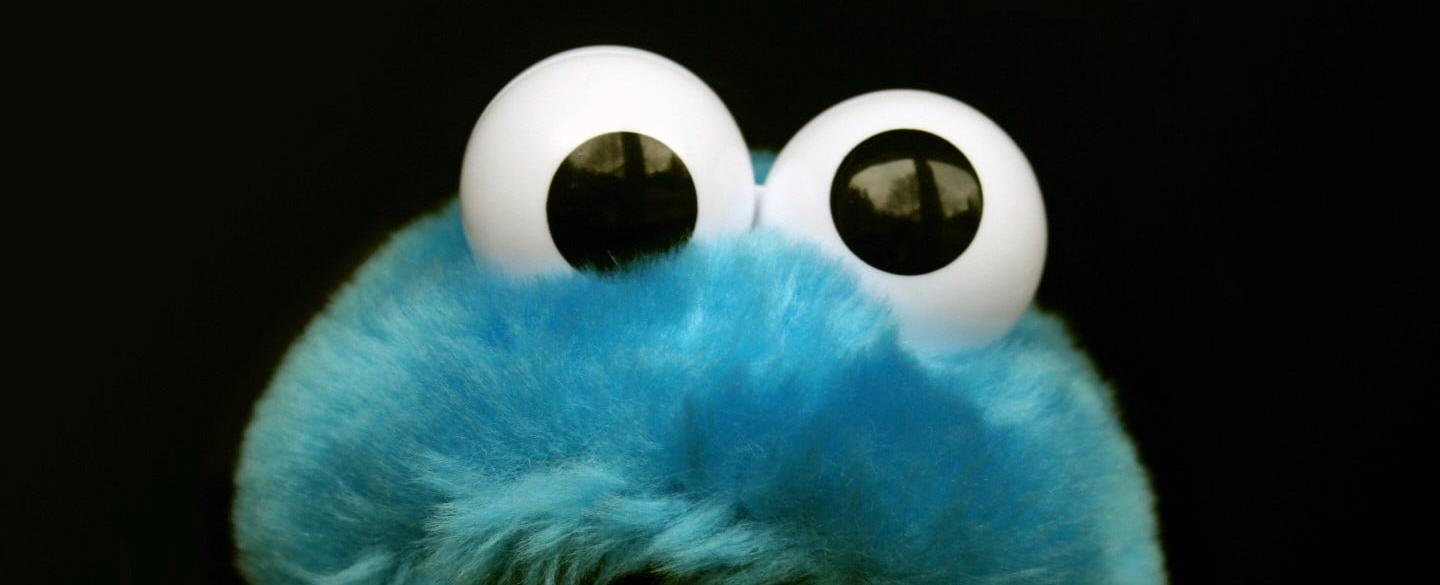 During a 2004 episode of sesame street cookie monster said that before he started eating cookies his name was sid