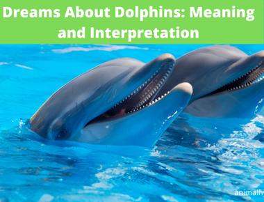 Whales and dolphins are polygamous meaning they have multiple mates often during the same mating season