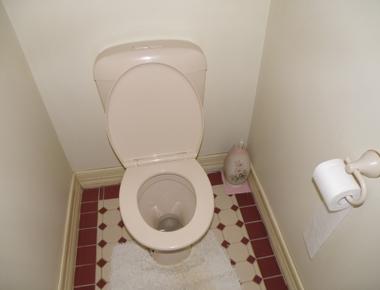 About 40 000 americans are injured by toilets each year