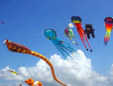 Kite flying is a professional sport in thailand