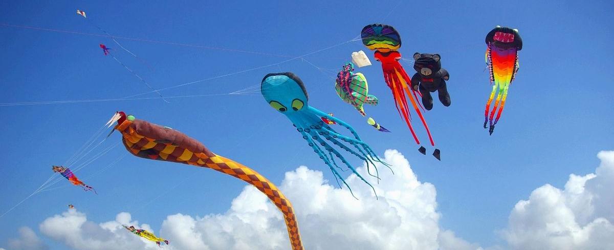 Kite flying is a professional sport in thailand