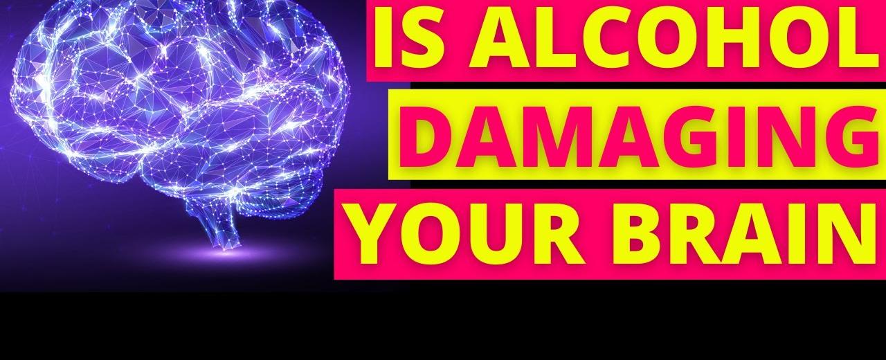 Alcohol won t kill your brain cells it does damage the connections between them that have short and long term effects a couple of happy hours every month won t damage your brain