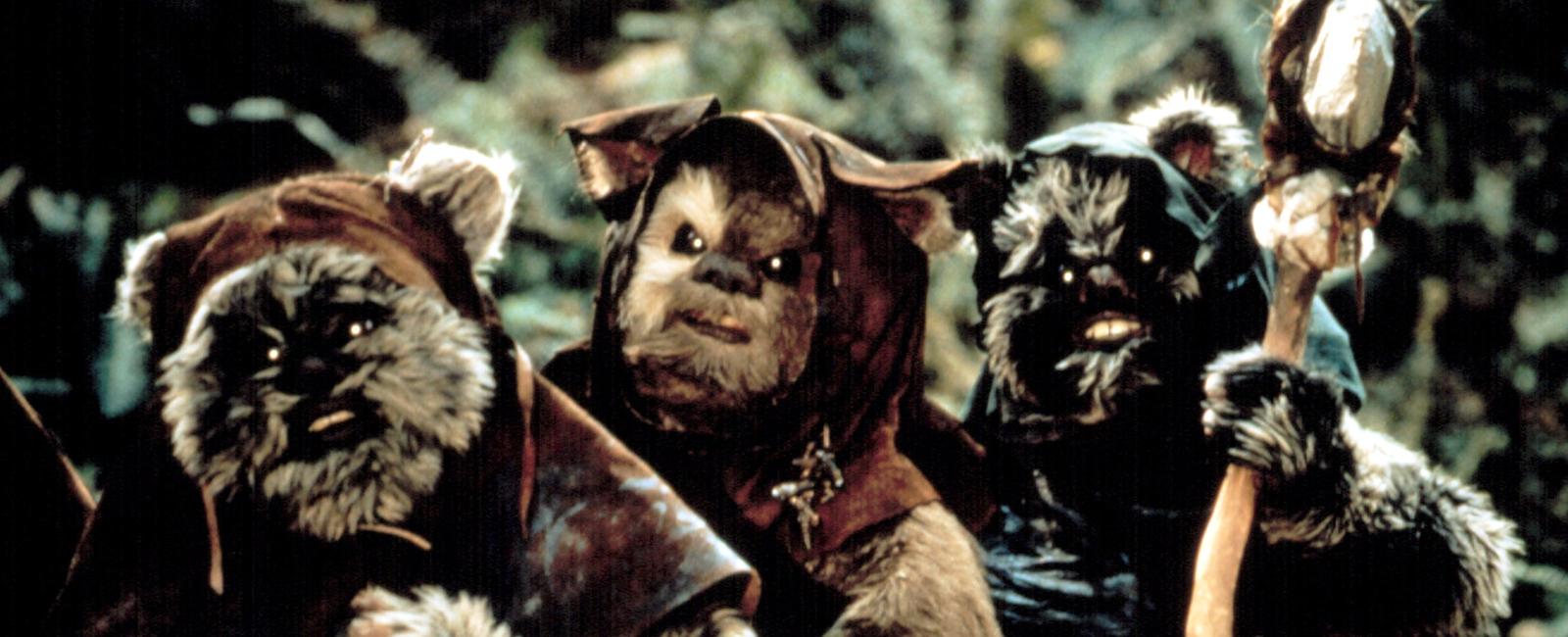 The language of the ewoks in the star wars films is a combination of tibetan and nepalese phrases