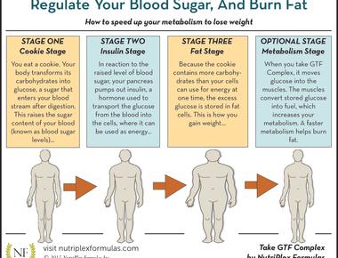 Your blood makes up about seven percent of your body weight