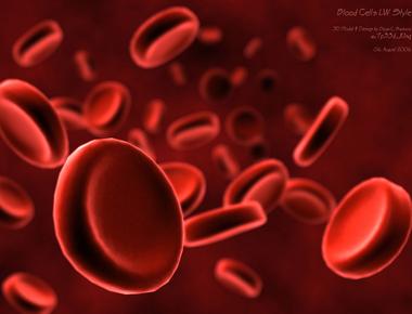 An individual blood cell takes about 60 seconds to make a complete circuit of the body