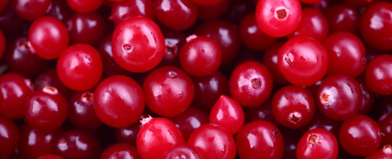 Ripe cranberries will bounce like rubber balls