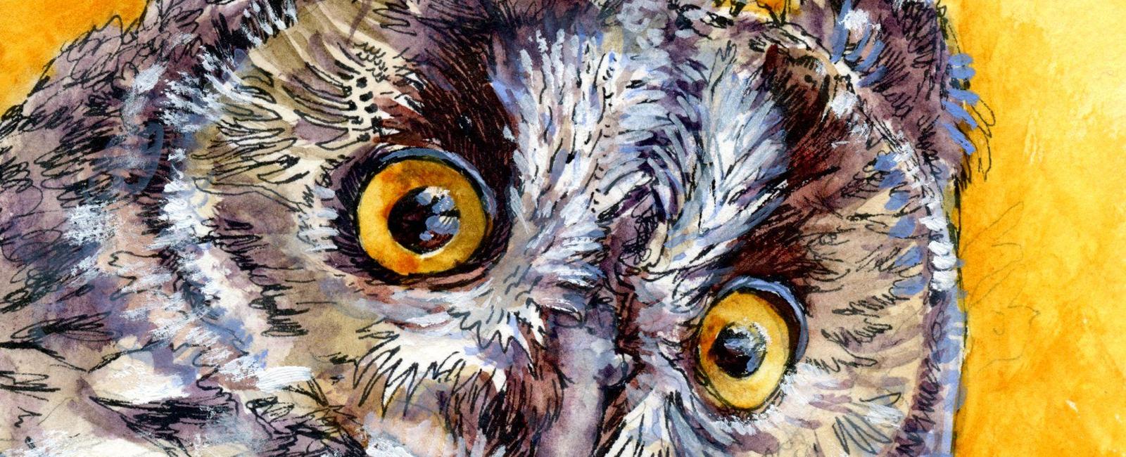 Owls have eye tubes instead of eyeballs