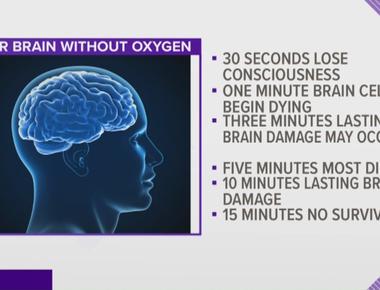 Your brain can survive for five to 10 minutes without oxygen