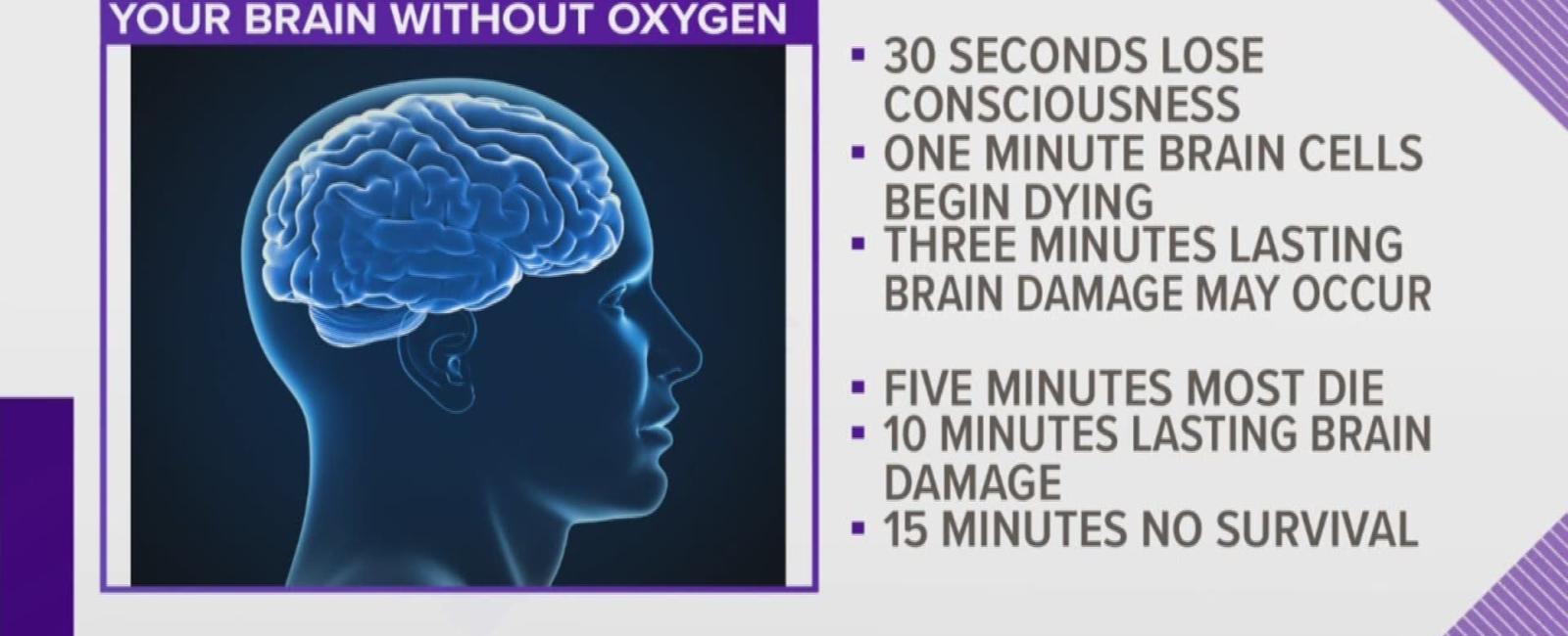 Your brain can survive for five to 10 minutes without oxygen