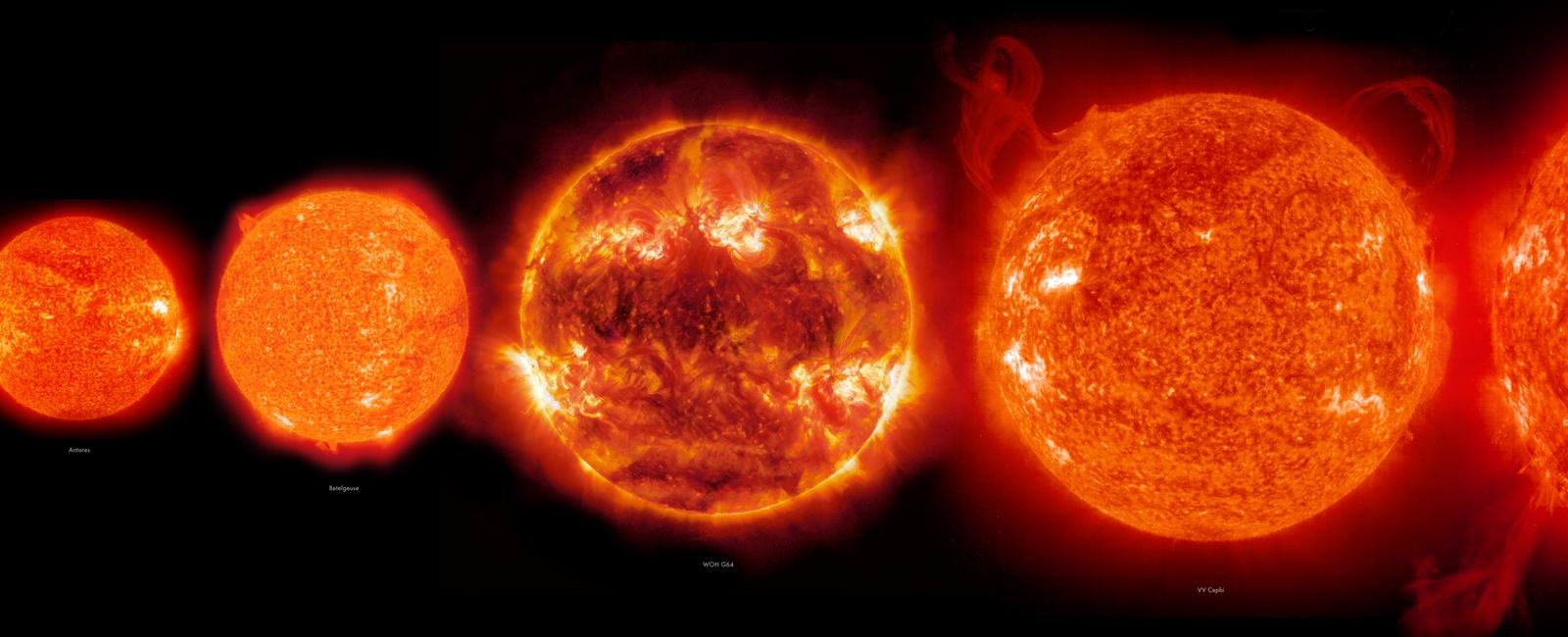 The star antares is 60 000 times larger than our sun if our sun were the size of a softball the star antares would be as large as a house