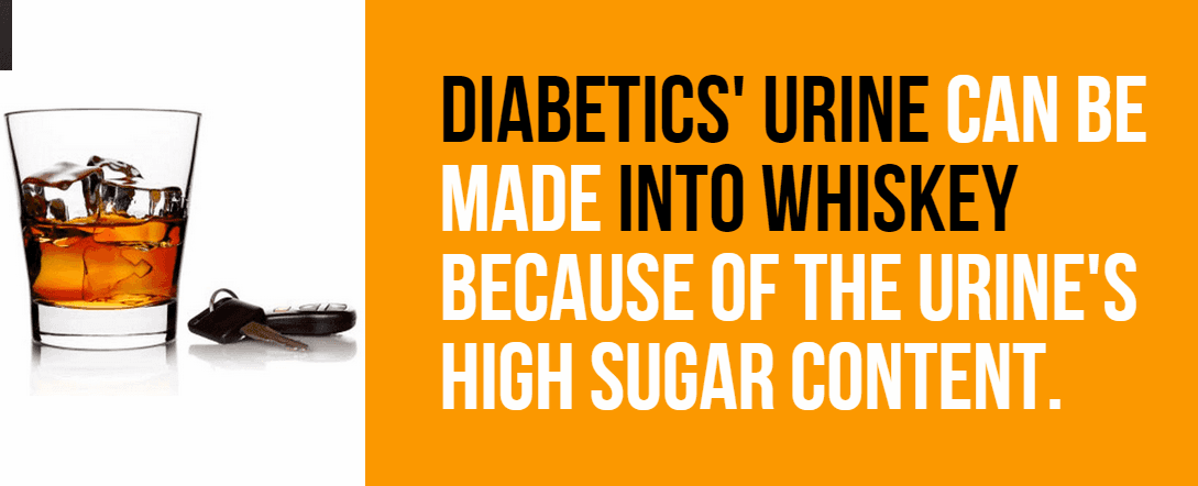 Diabetics urine can be made into whiskey because of the urine s high sugar content