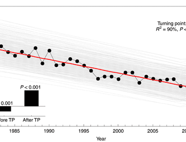 The average terrestrial wind speed has decreased by half a kilometer per hour every decade since the 1960s