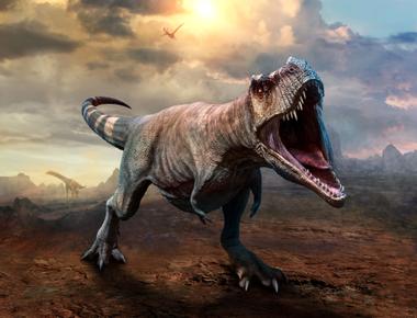 Tyrannosaurus rex was a fearsome predator but it wasn t a particularly fast mover in fact most humans could easily keep up with the dinosaur without breaking a sweat