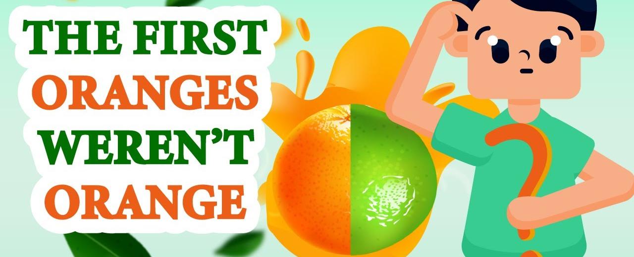 The first oranges weren t orange