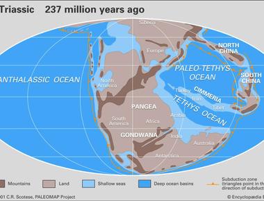 The seabed of the gulf of mexico was once the central region of the supercontinent pangea before it broke apart 335 million years ago