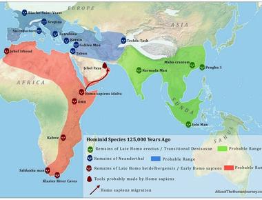 On which continent did the samba originate america