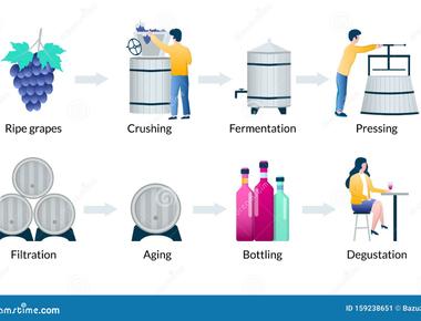 In wine making what is the must the juice drawn from the grapes but not yet fermented into wine