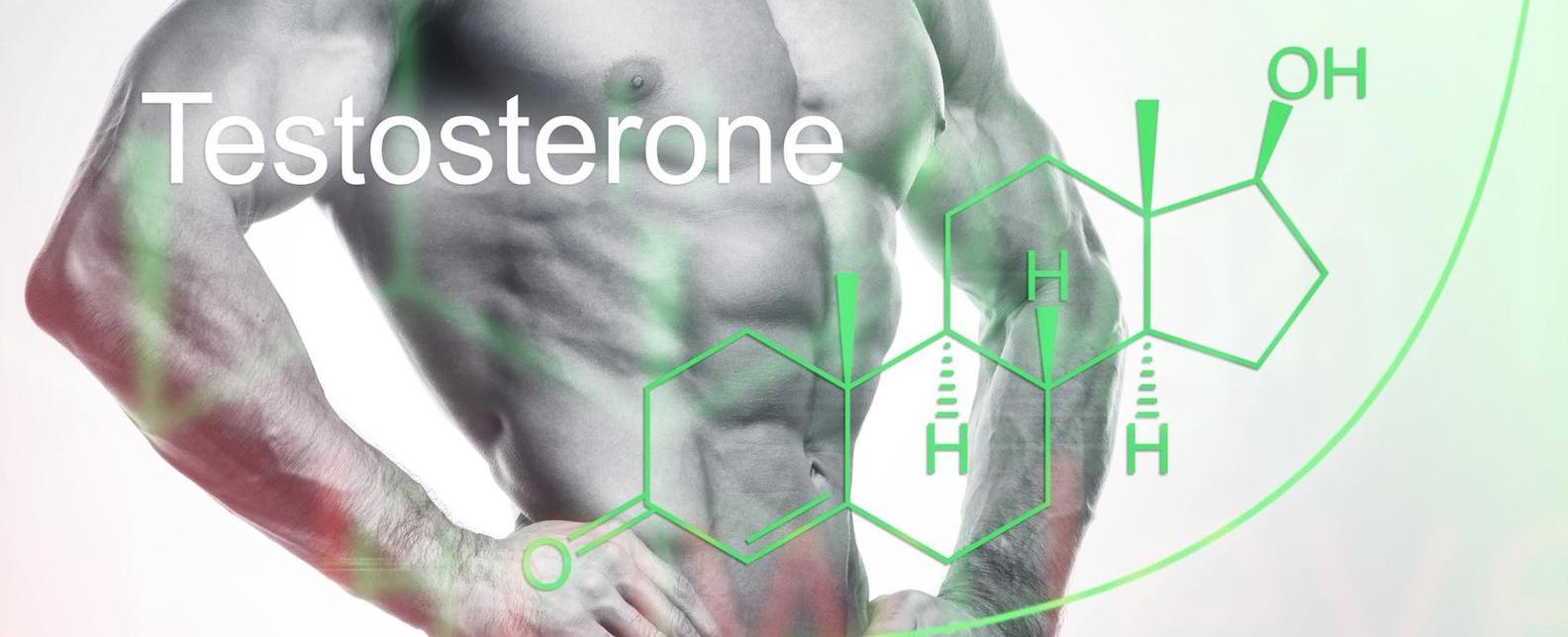 Post workout is a great time to have sex working out releases testosterone in your body and also circulates blood into your genital area