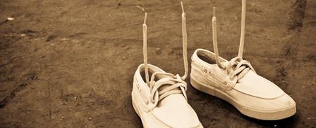 The Question Aglets The plastic things on the end of shoelaces are called aglets | The Fact ...