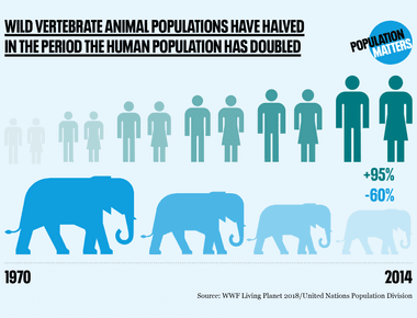 Between 1970 and 2018 the size of the wildlife population has dropped by 68 including birds fish mammals and reptiles among other species it has significantly declined in the caribbean and latin america