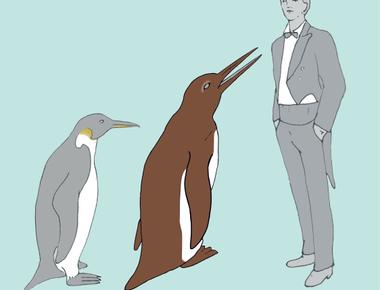 An extinct species of penguins was nearly 7 feet tall